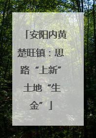 安阳内黄楚旺镇：思路“上新” 土地“生金”