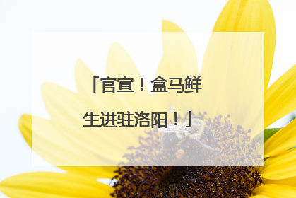 官宣！盒马鲜生进驻洛阳！