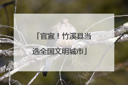 官宣！竹溪县当选全国文明城市