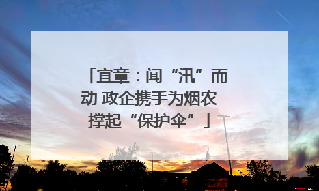 宜章：闻“汛”而动 政企携手为烟农撑起“保护伞”
