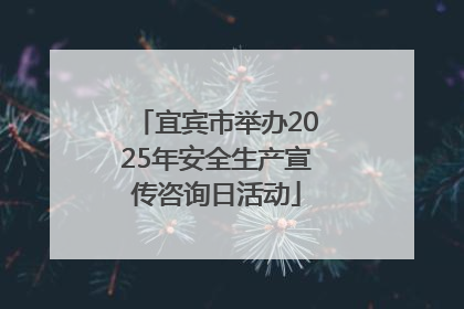 宜宾市举办2025年安全生产宣传咨询日活动