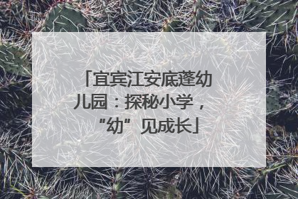 宜宾江安底蓬幼儿园：探秘小学，“幼”见成长