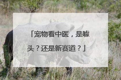 宠物看中医，是噱头？还是新赛道？