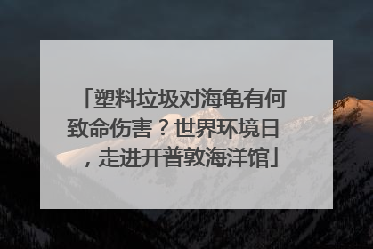 塑料垃圾对海龟有何致命伤害？世界环境日，走进开普敦海洋馆