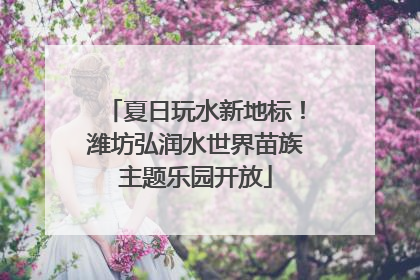 夏日玩水新地标！潍坊弘润水世界苗族主题乐园开放