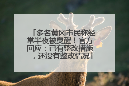 多名黄冈市民称经常半夜被臭醒！官方回应：已有整改措施，还没有整改情况