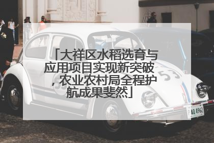 大祥区水稻选育与应用项目实现新突破，农业农村局全程护航成果斐然