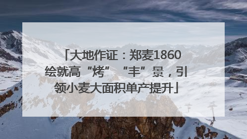 大地作证：郑麦1860绘就高“烤”“丰”景，引领小麦大面积单产提升