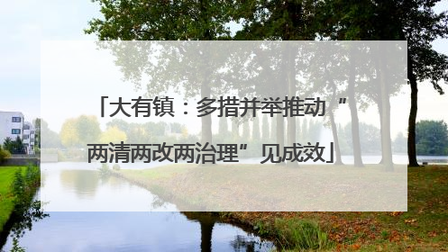 大有镇：多措并举推动“两清两改两治理”见成效