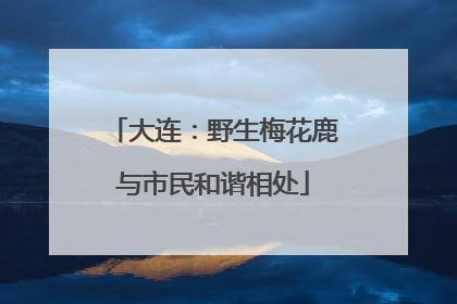 大连：野生梅花鹿与市民和谐相处