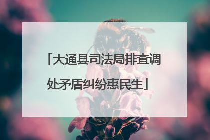 大通县司法局排查调处矛盾纠纷惠民生