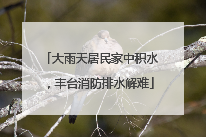 大雨天居民家中积水，丰台消防排水解难