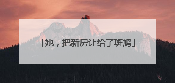 她，把新房让给了斑鸠