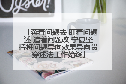 奔着问题去 盯着问题述 追着问题改 宁夏坚持将问题导向效果导向贯穿述法工作始终