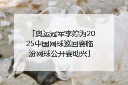 奥运冠军李婷为2025中国网球巡回赛临汾网球公开赛助兴