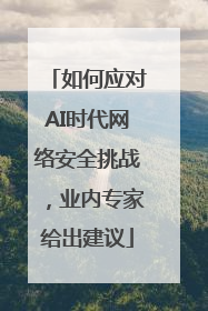 如何应对AI时代网络安全挑战，业内专家给出建议