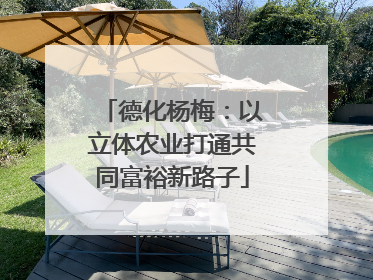 德化杨梅：以立体农业打通共同富裕新路子