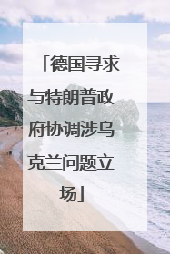 德国寻求与特朗普政府协调涉乌克兰问题立场