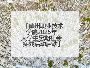 德州职业技术学院2025年大学生暑期社会实践活动启动