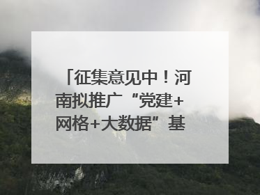 征集意见中！河南拟推广“党建+网格+大数据”基层治理模式