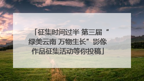 征集时间过半 第三届“绿美云南 万物生长”影像作品征集活动等你投稿