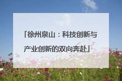 徐州泉山：科技创新与产业创新的双向奔赴