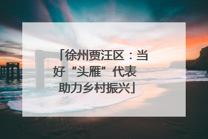 徐州贾汪区：当好“头雁”代表 助力乡村振兴