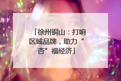 徐州铜山：打响区域品牌，助力“杏”福经济
