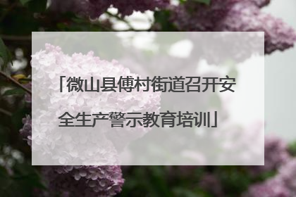 微山县傅村街道召开安全生产警示教育培训