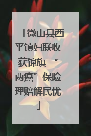 微山县西平镇妇联收获锦旗 “两癌”保险理赔解民忧