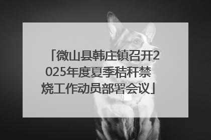 微山县韩庄镇召开2025年度夏季秸秆禁烧工作动员部署会议