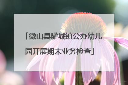 微山县驩城镇公办幼儿园开展期末业务检查