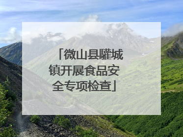 微山县驩城镇开展食品安全专项检查