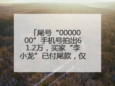 尾号“0000000”手机号拍出61.2万，买家“李小龙”已付尾款，仅享有使用权