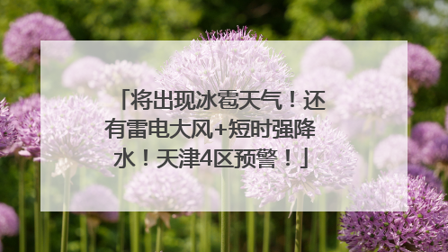 将出现冰雹天气！还有雷电大风+短时强降水！天津4区预警！