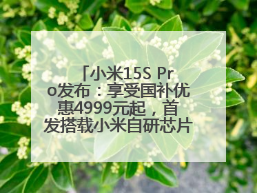 小米15S Pro发布：享受国补优惠4999元起，首发搭载小米自研芯片“玄戒O1”3nm旗舰处理器