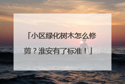 小区绿化树木怎么修剪?淮安有了标准!
