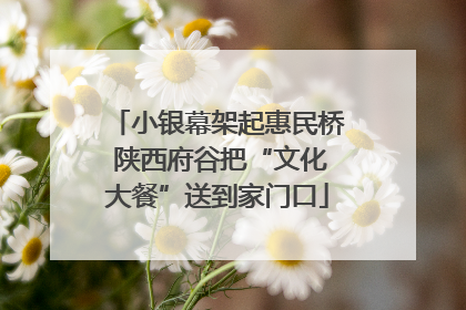小银幕架起惠民桥 陕西府谷把“文化大餐”送到家门口