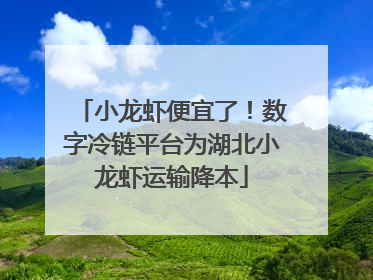 小龙虾便宜了！数字冷链平台为湖北小龙虾运输降本