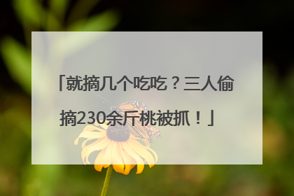 就摘几个吃吃？三人偷摘230余斤桃被抓！