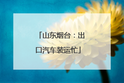 山东烟台：出口汽车装运忙