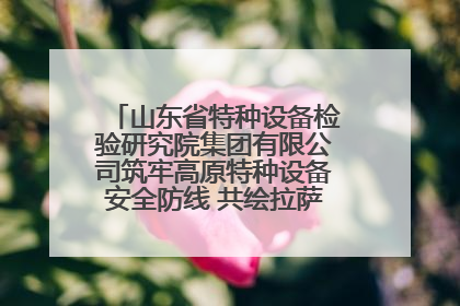 山东省特种设备检验研究院集团有限公司筑牢高原特种设备安全防线 共绘拉萨美好生活画卷