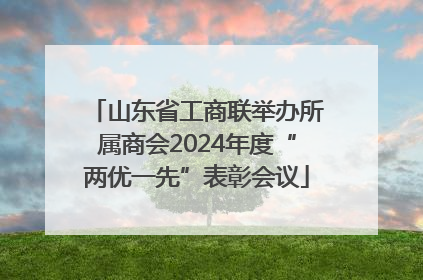 山东省工商联举办所属商会2024年度“两优一先”表彰会议