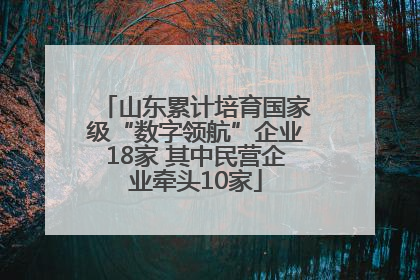 山东累计培育国家级“数字领航”企业18家 其中民营企业牵头10家