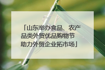 山东举办食品、农产品类外贸优品购物节 助力外贸企业拓市场