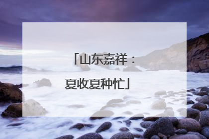 山东嘉祥：夏收夏种忙