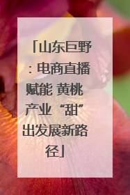 山东巨野：电商直播赋能 黄桃产业“甜”出发展新路径