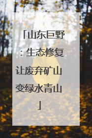 山东巨野：生态修复让废弃矿山变绿水青山