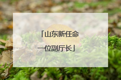 山东新任命一位副厅长