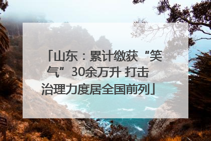 山东：累计缴获“笑气”30余万升 打击治理力度居全国前列